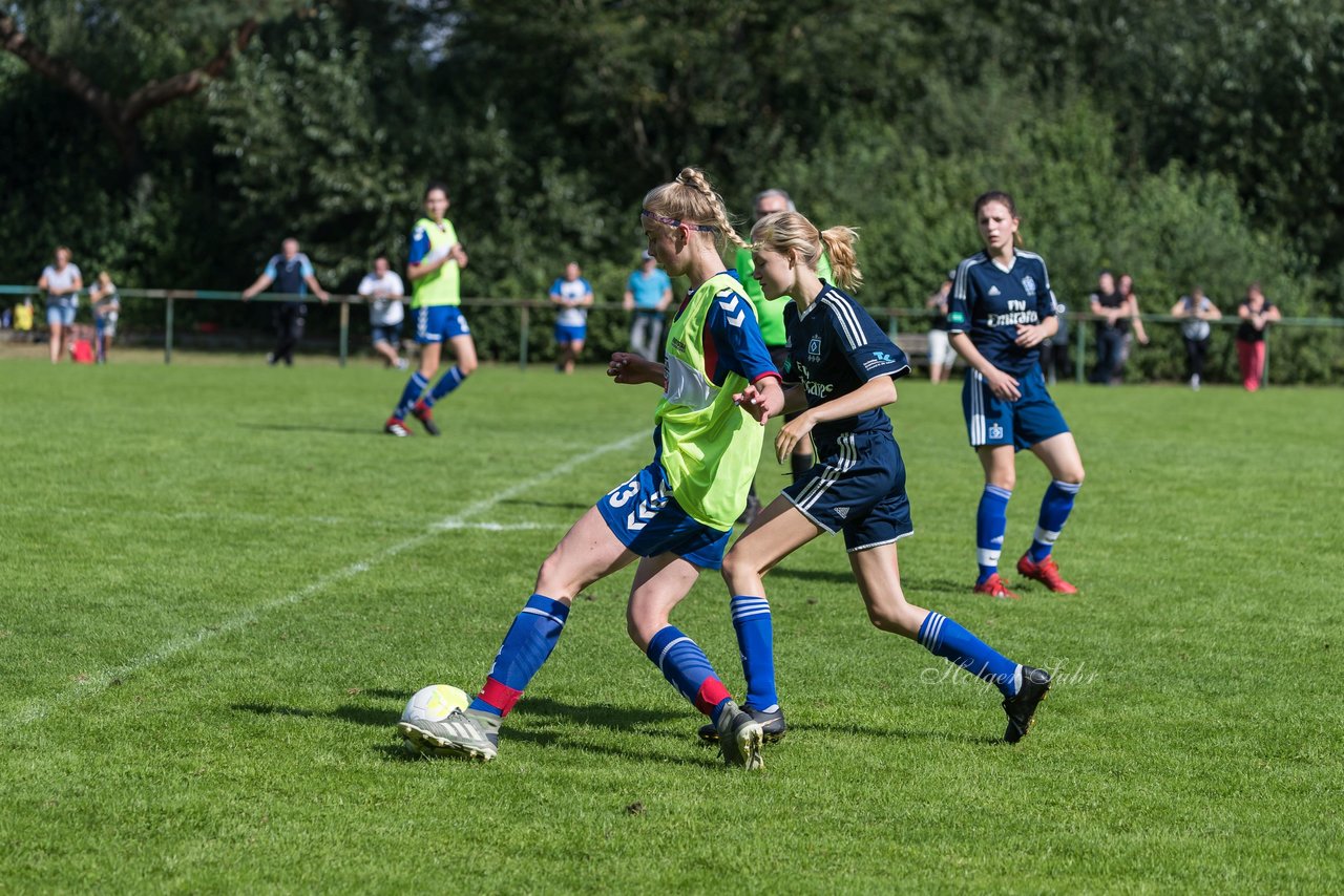 Bild 87 - B-Juniorinnen VfL Pinneberg - HSV : Ergebnis: 1:4